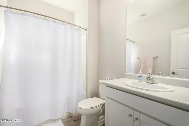 a bathroom with a sink a toilet and shower curtain