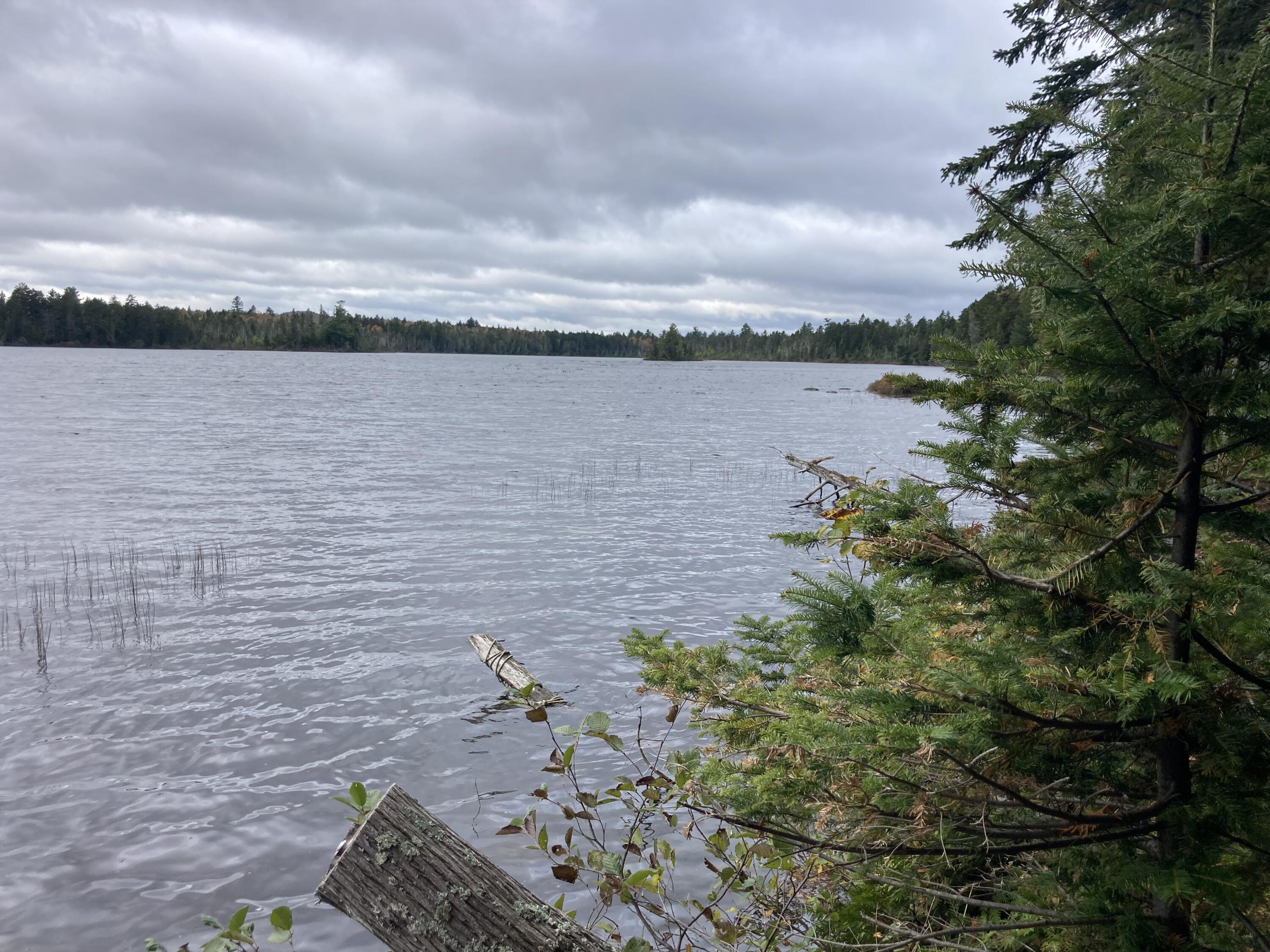 999 Upper Lapomkeag Road Oxbow, ME 04764 - Photo 41 of 41 LaPomkeag Lake View