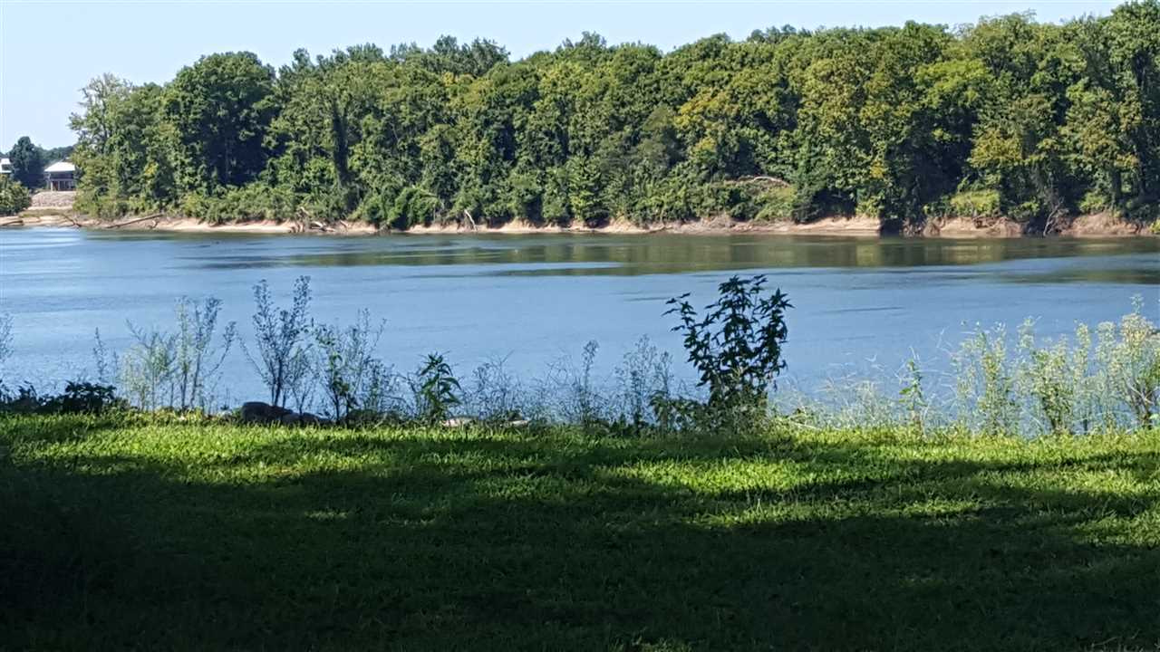 0 Colonel James Hardin Road Clifton, TN 38425 - Photo 19 of 22 Gallery Image 19