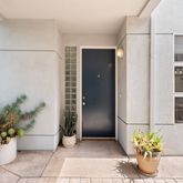a potted plant sitting in front of a window