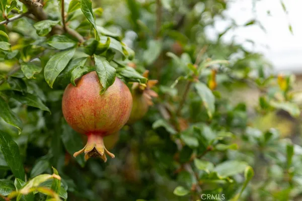 an aerial view of a house with a garden