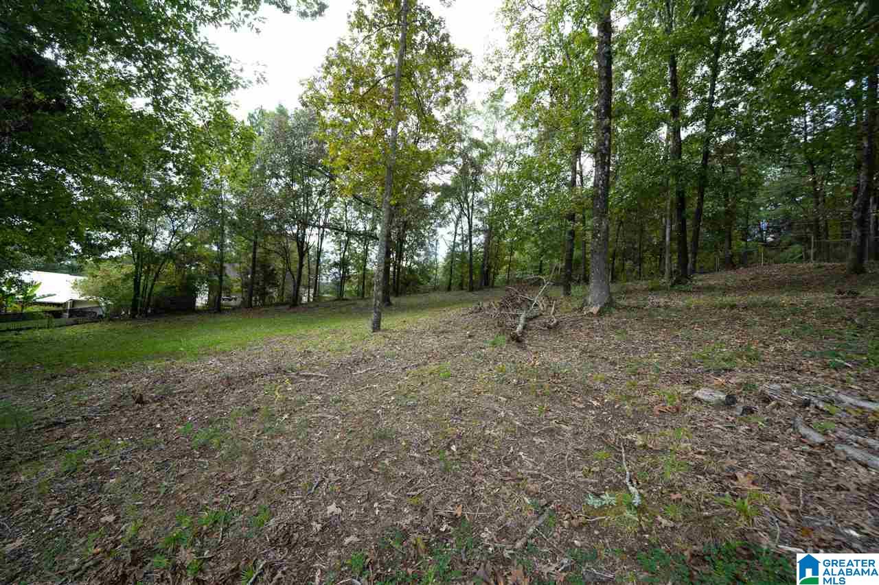 221 Dolphin Circle Alabaster, AL 35007 - Photo 24 of 29