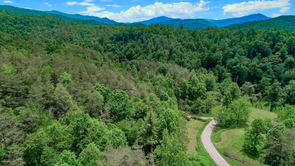 2930 Raven Branch Road Del Rio, TN 37727 - Photo 11 of 22 Gallery Image 11