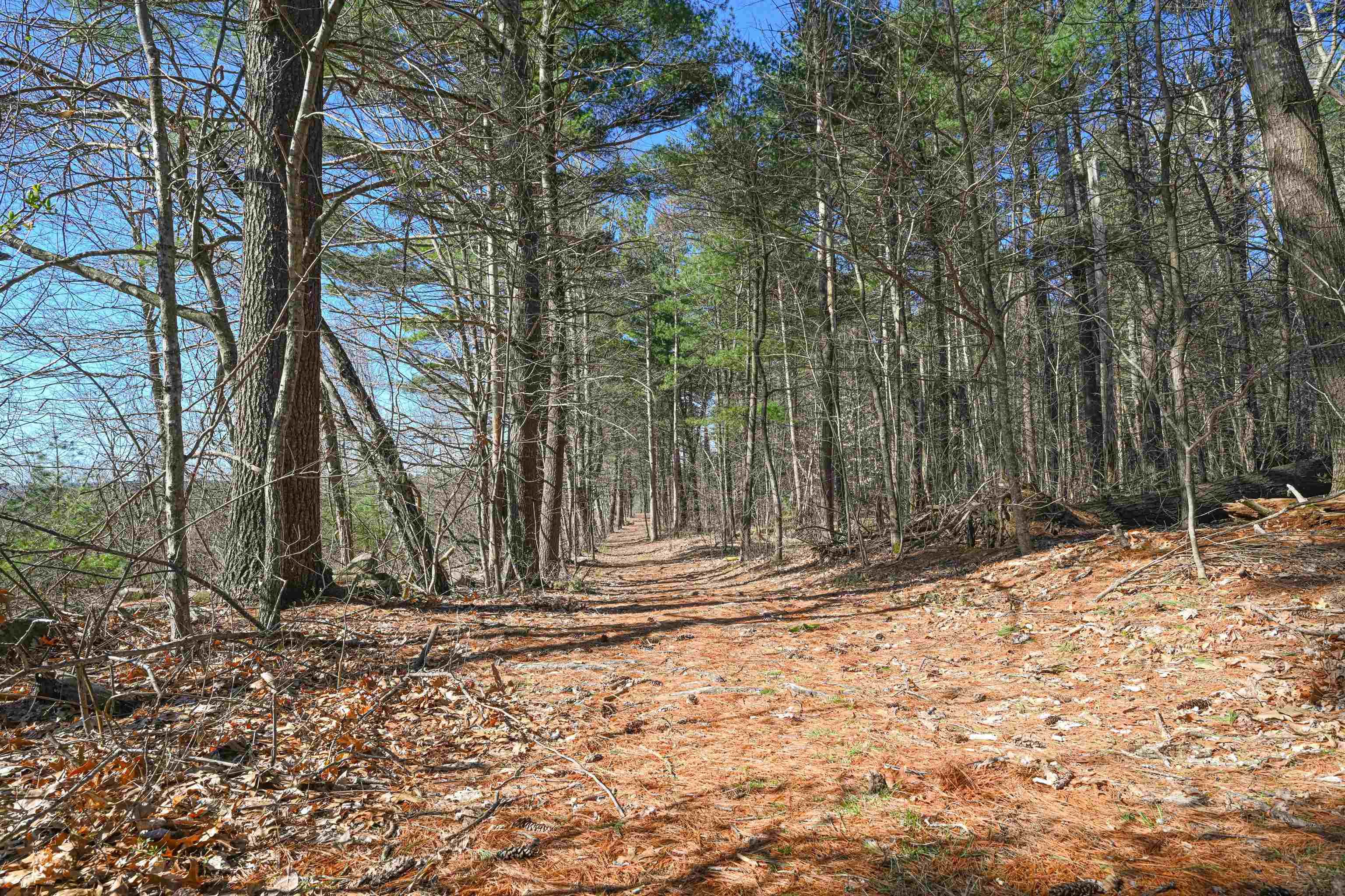 82-53 English Range Road Derry, NH 03038 - Photo 6 of 39