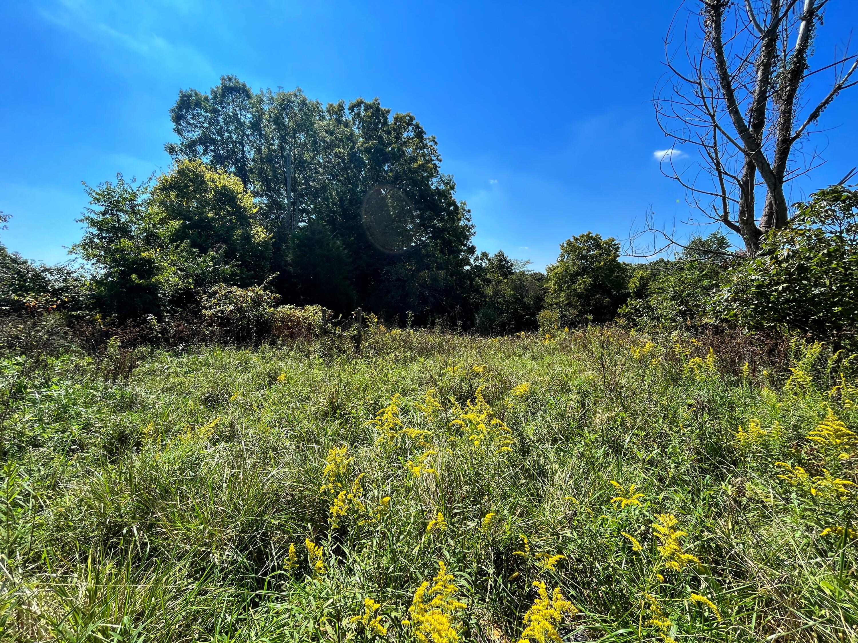 1783 Stephenson Road Walton, KY 41094 - Photo 5 of 16