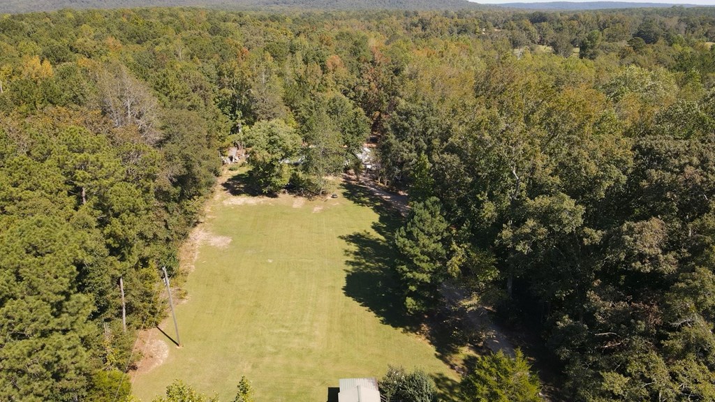 3353 Kings Gap Road Hamilton, GA 31811 - Photo 4 of 39 Gallery Image 4