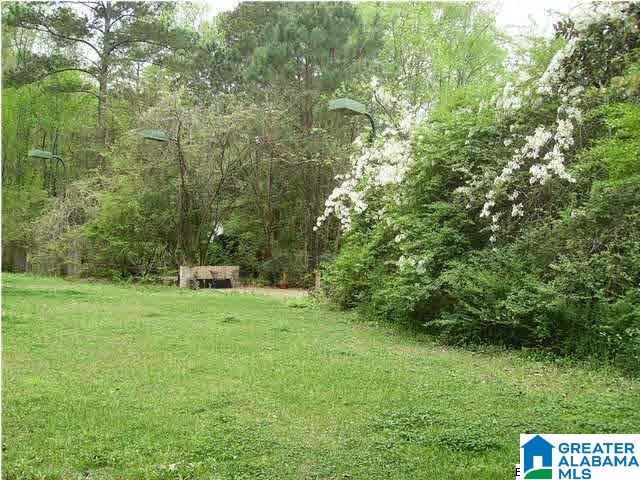 4624 Pine Mountain Road Birmingham, AL 35213 - Photo 9 of 37