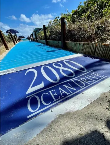 a view of a tennis ground with a large tree