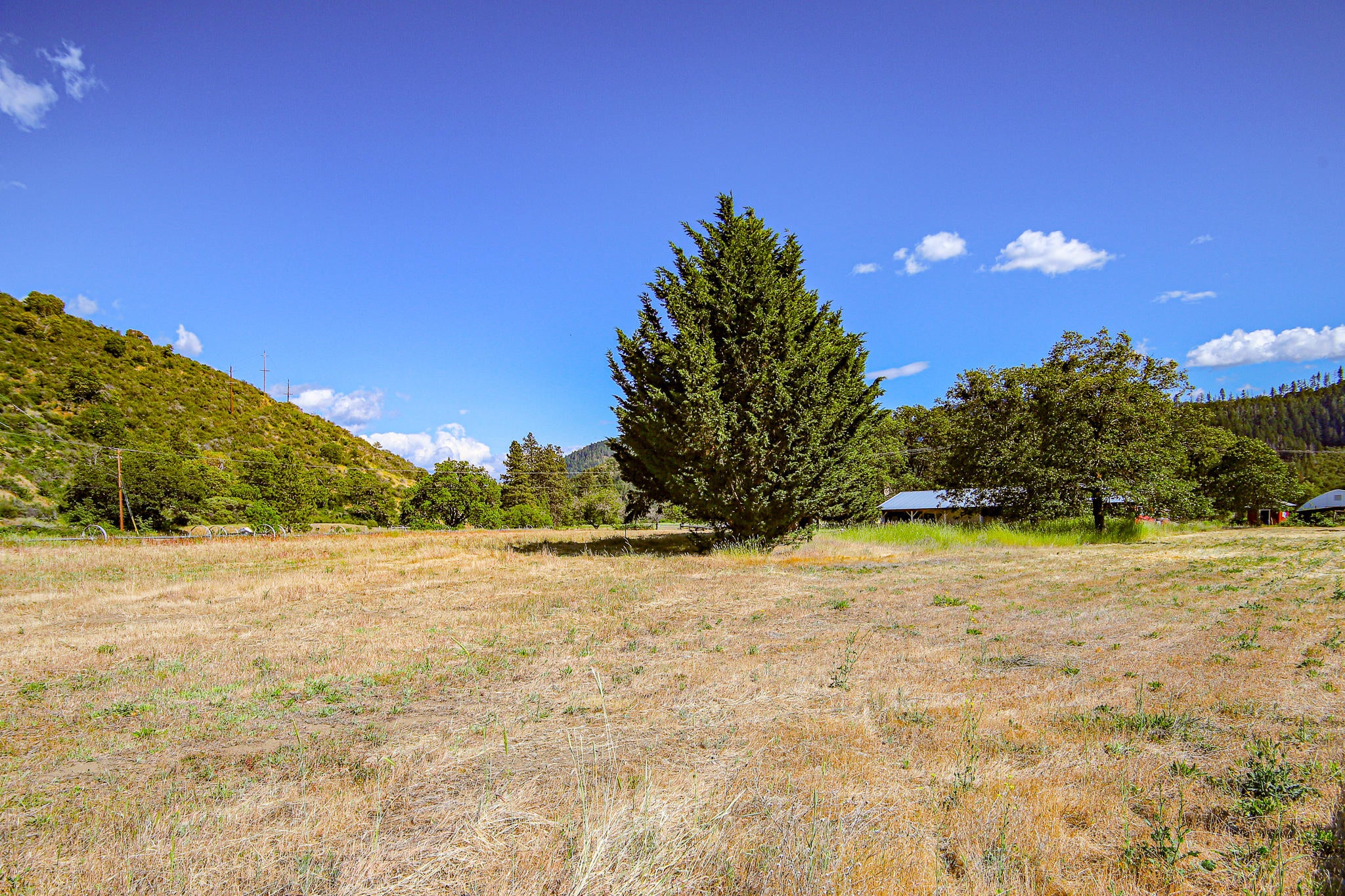 17777 North Applegate Road Grants Pass, OR 97527 - Photo 103 of 104 IMG_5386
