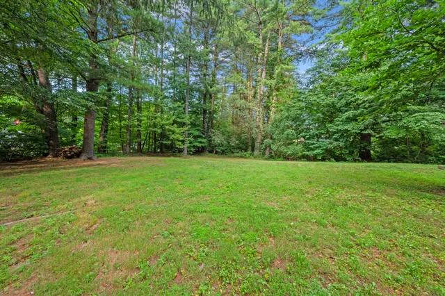 a view of green field with trees in the background