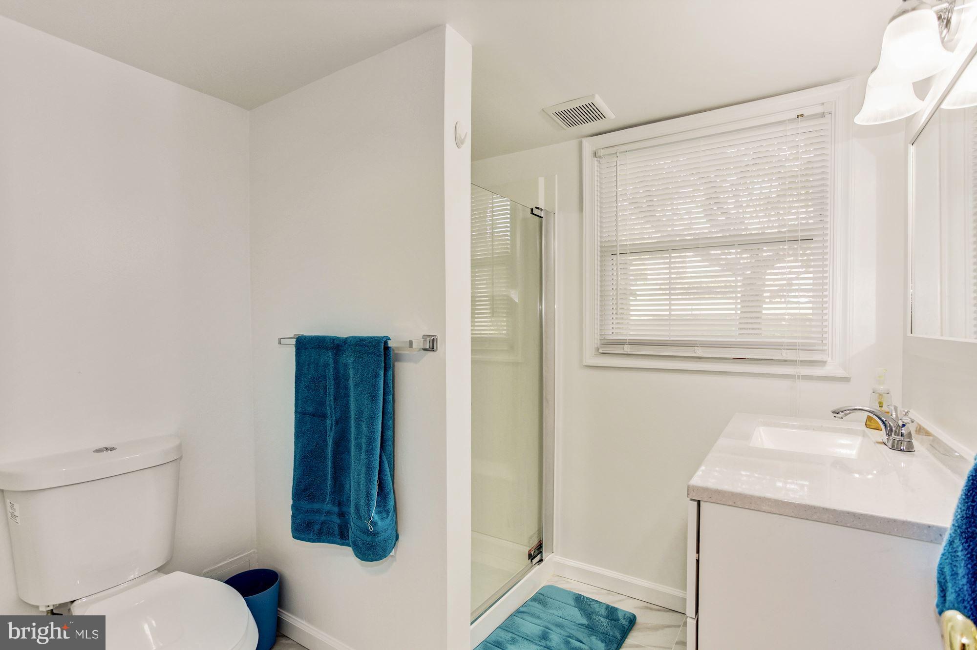 6517 Haystack Road Alexandria, VA 22310 - Photo 21 of 23 Bath