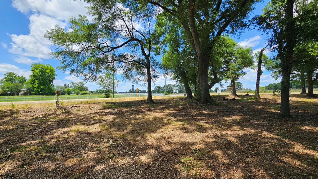 92 County Road 92 Slocomb, AL 36375 - Photo 51 of 58