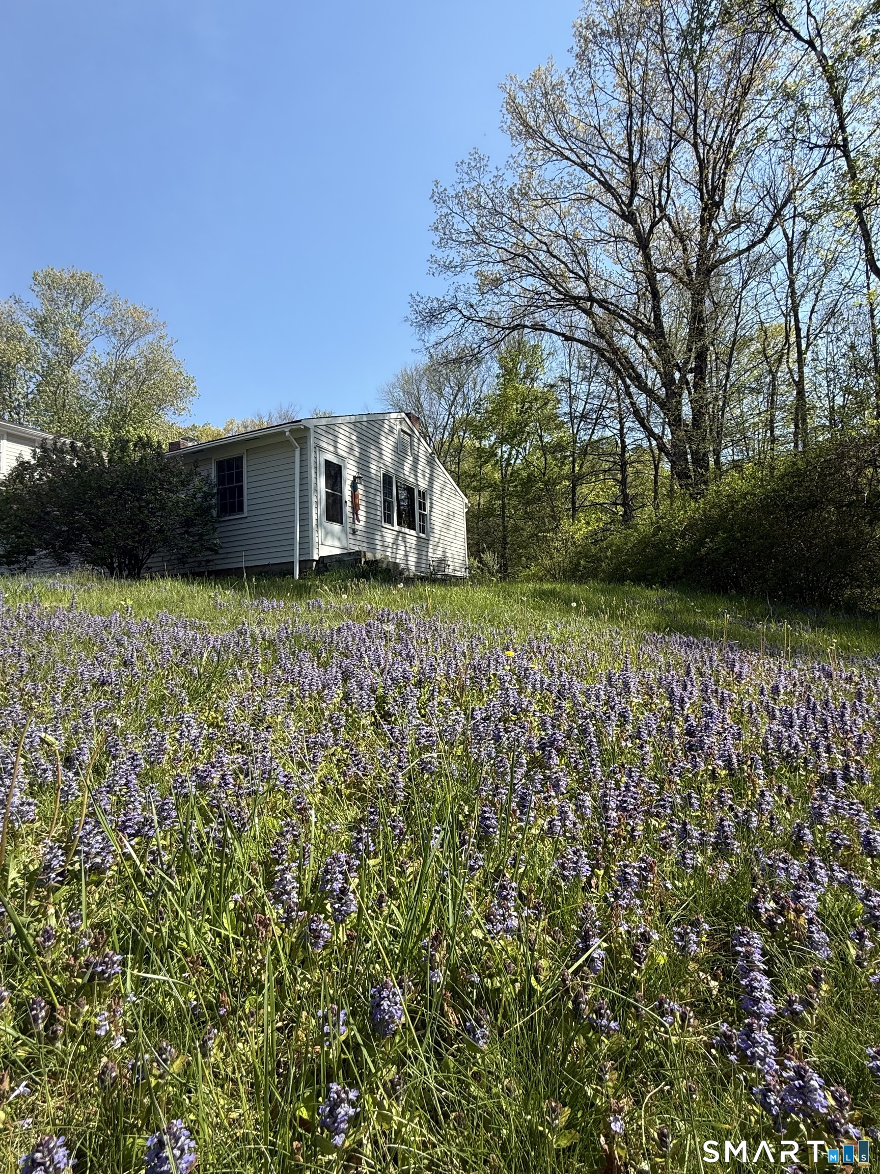 West Mountain Road Ridgefield, CT 06877 - Photo 1 of 17 a backyard of a house with lots of green space and chair