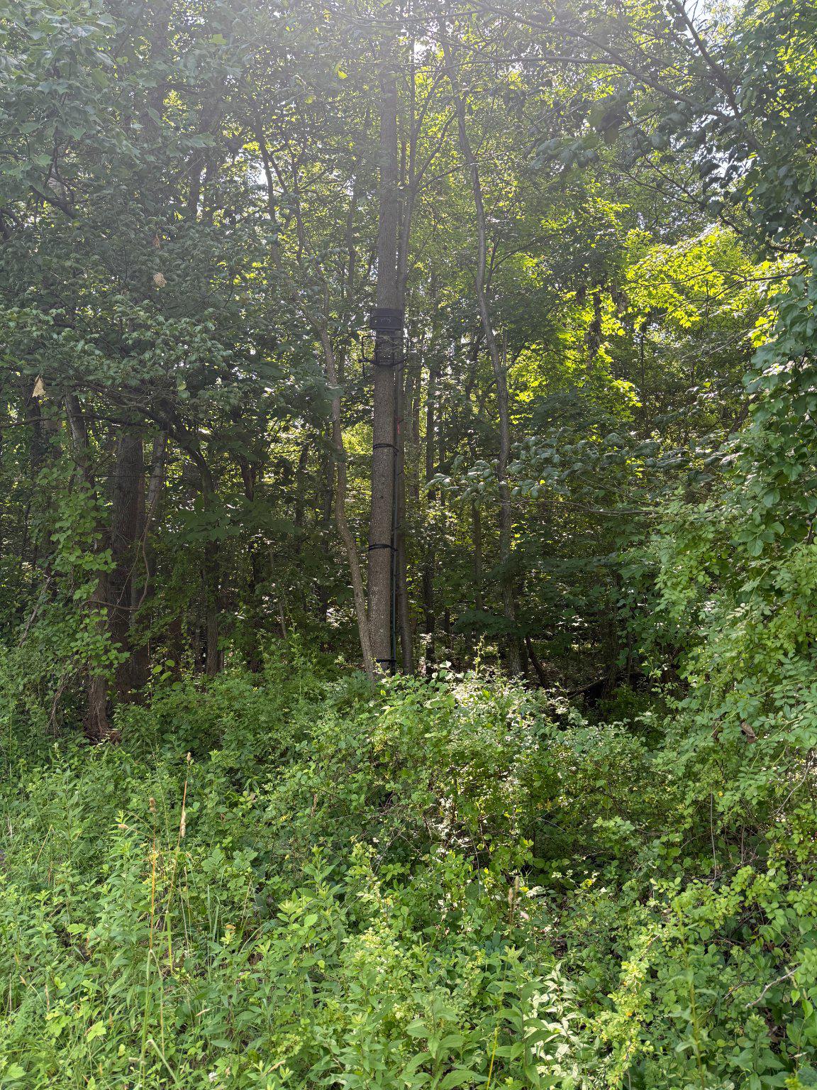 501 Tracey Road Hanover, PA 17331 - Photo 4 of 8
