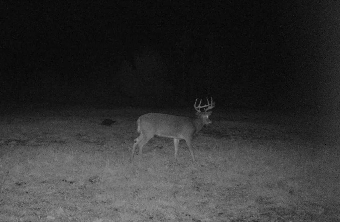 0 Plains Road Liberty, ME 04949 - Photo 26 of 37 IMG_6893