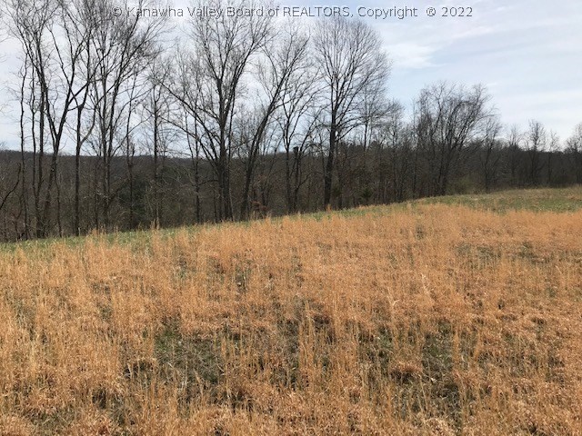 0 Links Way Ripley, WV 25271 - Photo 10 of 10 Gallery Image 10
