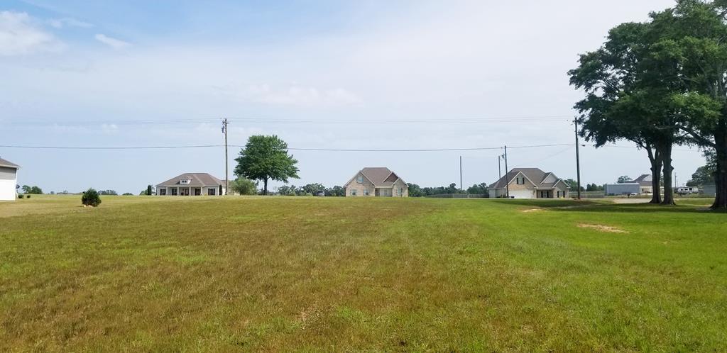 6.3-acres Skipper Road Dothan, AL 36301 - Photo 6 of 7