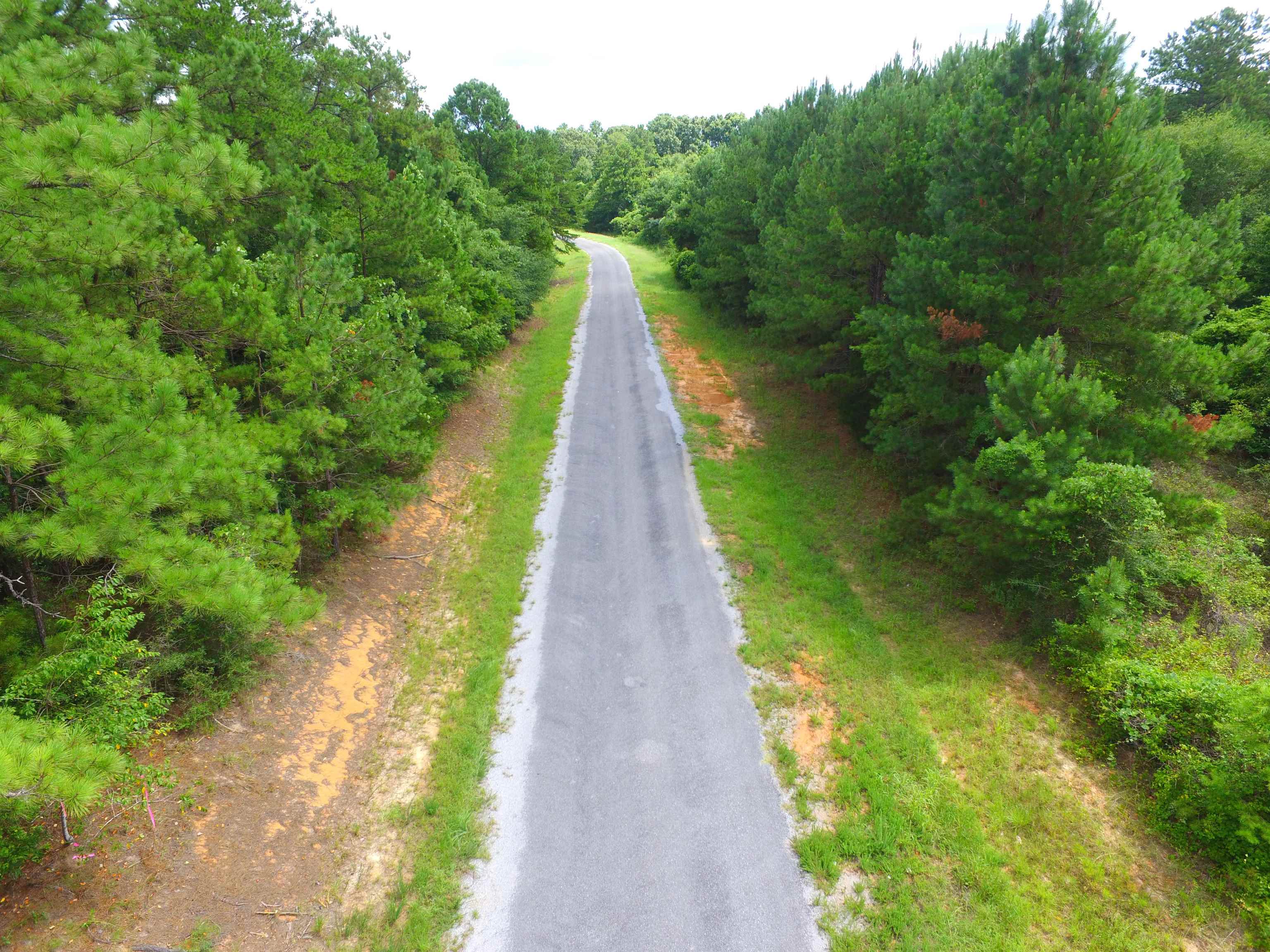 29723 Meadow Lane Road Andalusia, AL 36421 - Photo 32 of 34 Gallery Image 32