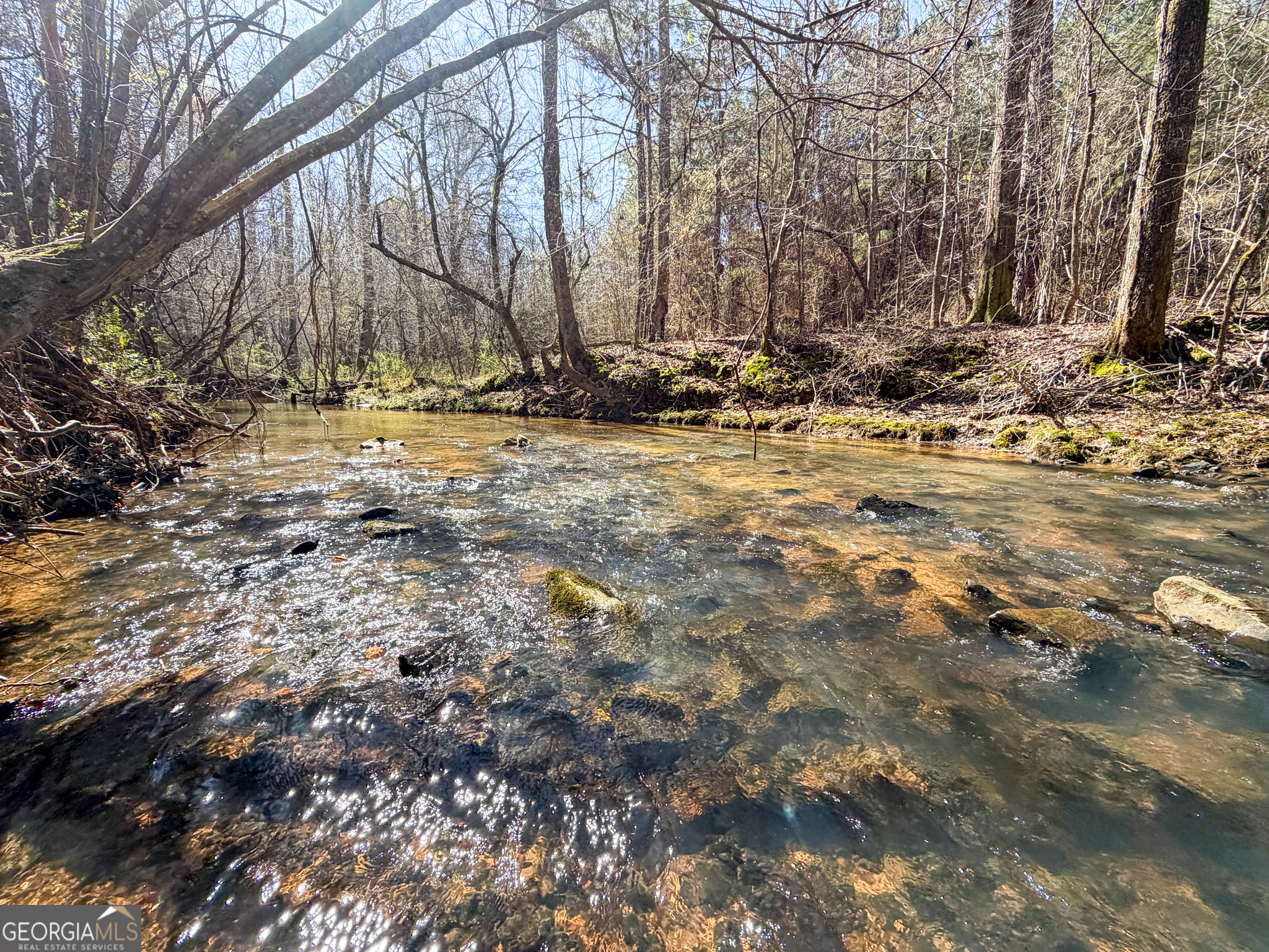 257 Acres On Ridgeway Road Franklin, GA 30217 - Photo 3 of 28