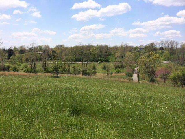 4019 Long Lick Road Stamping Ground, KY 40379 - Photo 21 of 31 View from front of house to Long Lick Pi