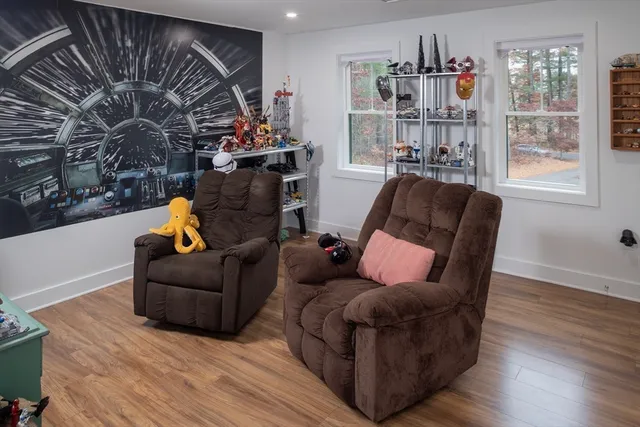 a living room with furniture a rug and a book shelf
