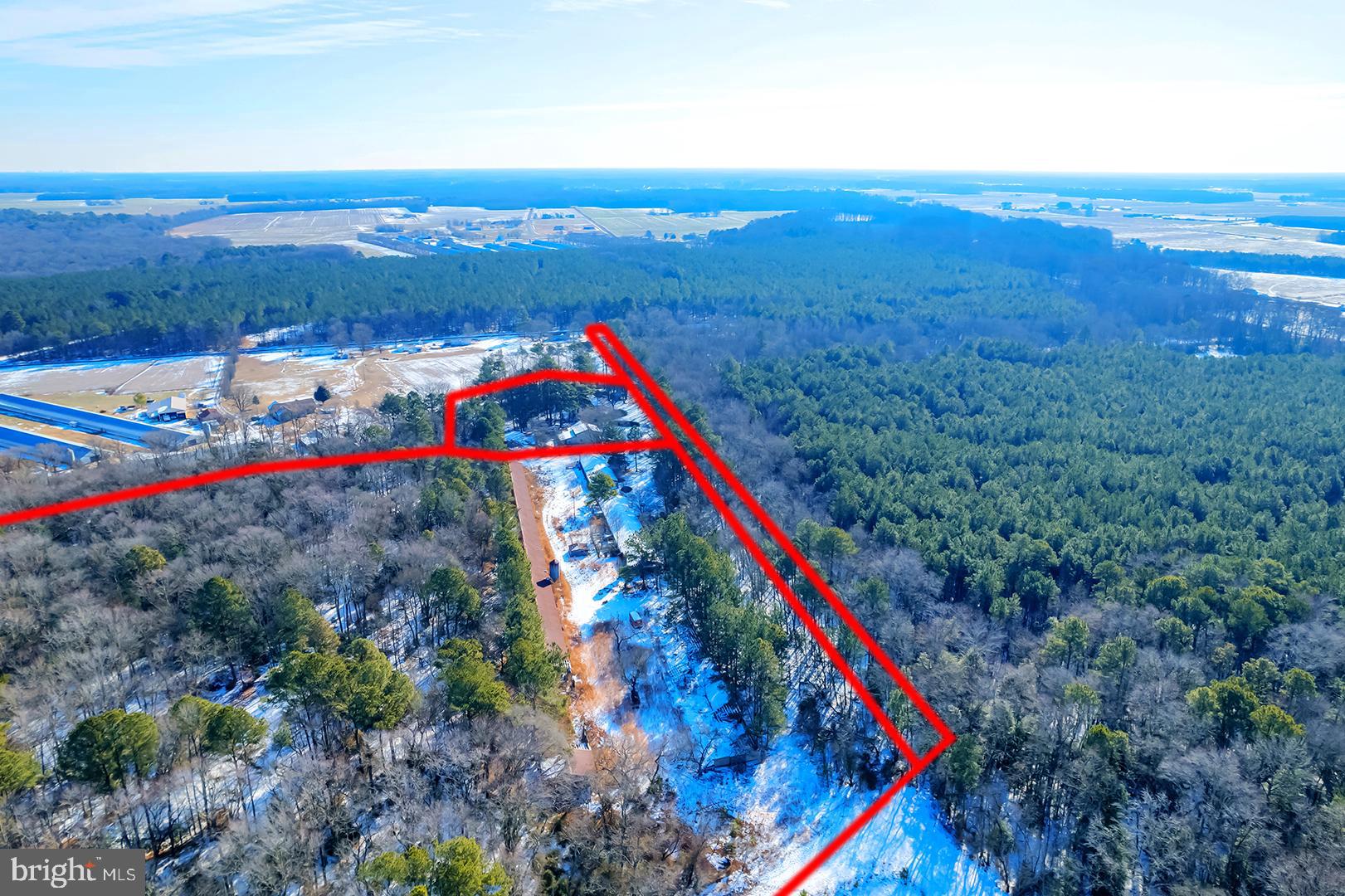 8138-8140 Burnt Mill Road Willards, MD 21874 - Photo 4 of 9 a view of a houses with a lush green forest