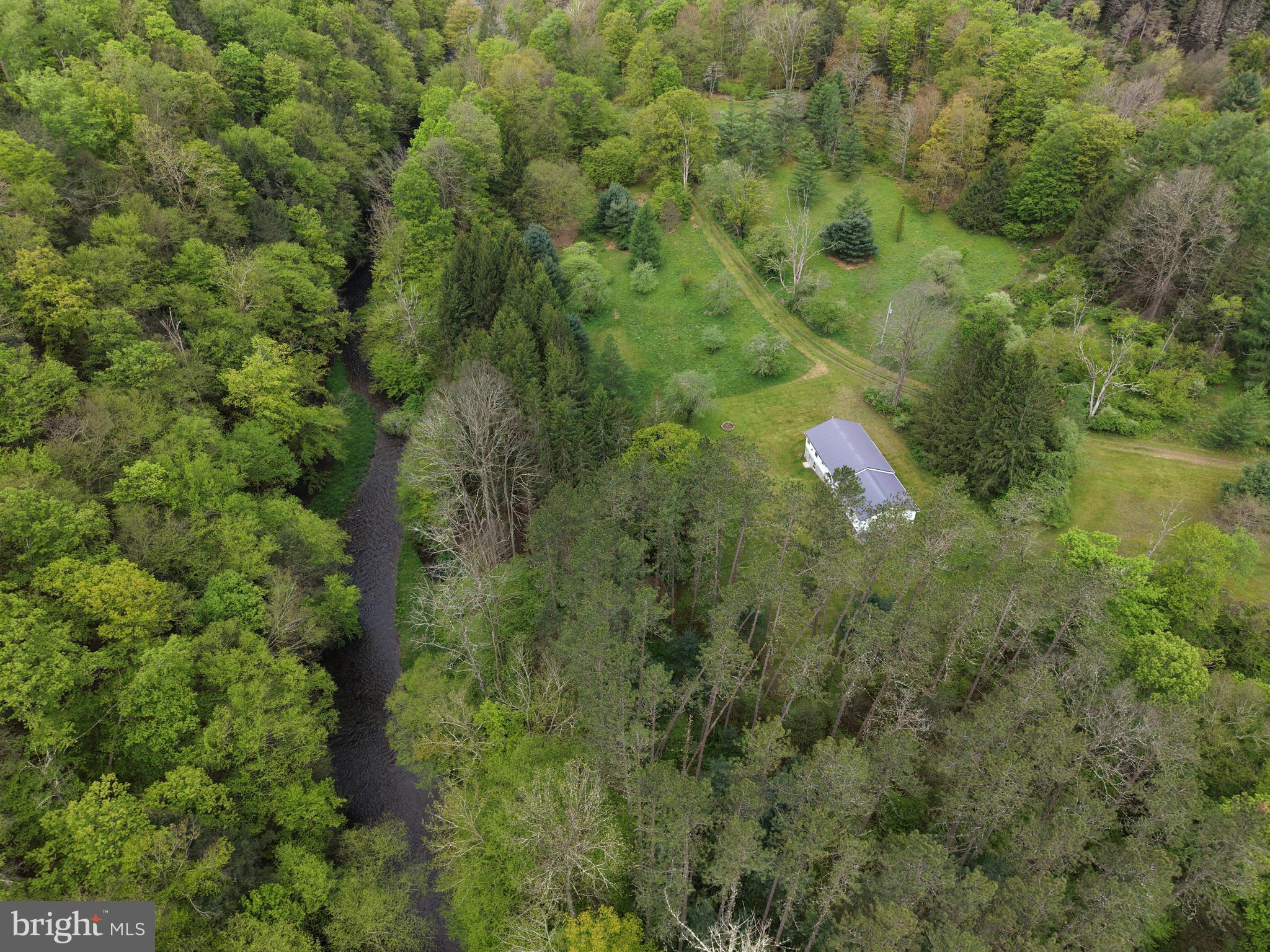 1227 Cross Fork Creek Road Cross Fork, PA 17729 - Photo 35 of 139