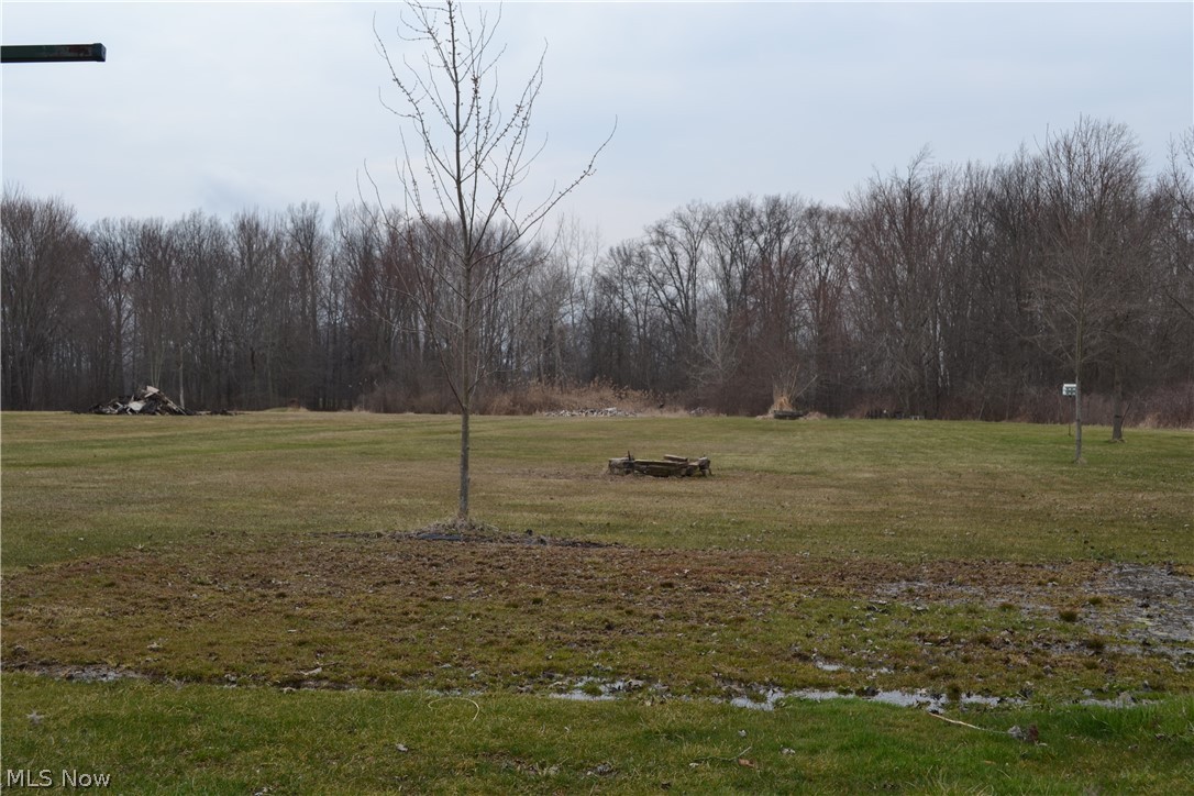 9590 Root Road Columbia Station, OH 44028 - Photo 30 of 31 Backyard view