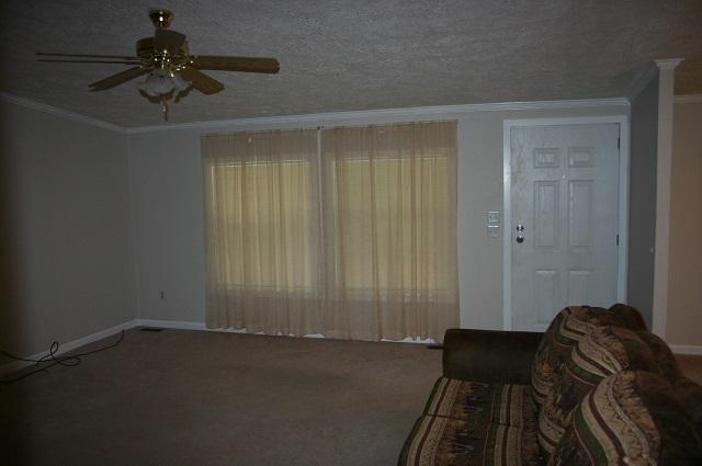 3970 Horsepen Road Cosby, TN 37722 - Photo 14 of 40 IMG_5680