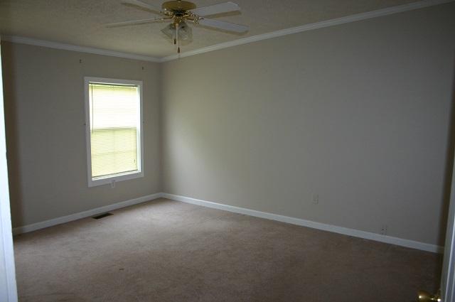 3970 Horsepen Road Cosby, TN 37722 - Photo 23 of 40 IMG_5668