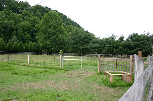 3970 Horsepen Road Cosby, TN 37722 - Photo 35 of 40 IMG_5657