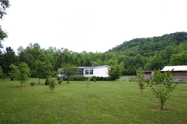 3970 Horsepen Road Cosby, TN 37722 - Photo 7 of 40 IMG_5650