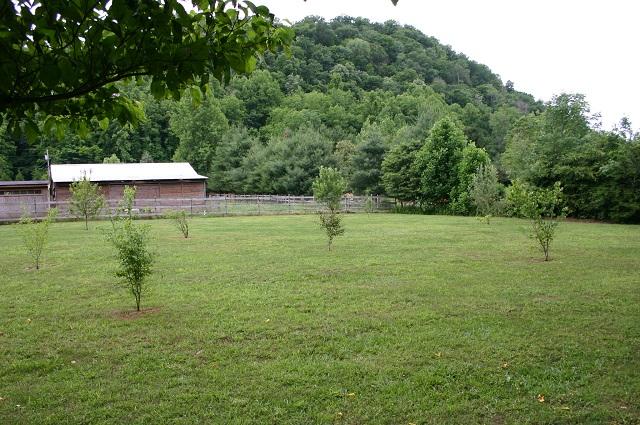 3970 Horsepen Road Cosby, TN 37722 - Photo 8 of 40 IMG_5651
