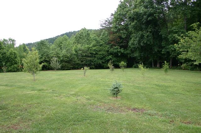 3970 Horsepen Road Cosby, TN 37722 - Photo 9 of 40 IMG_5654