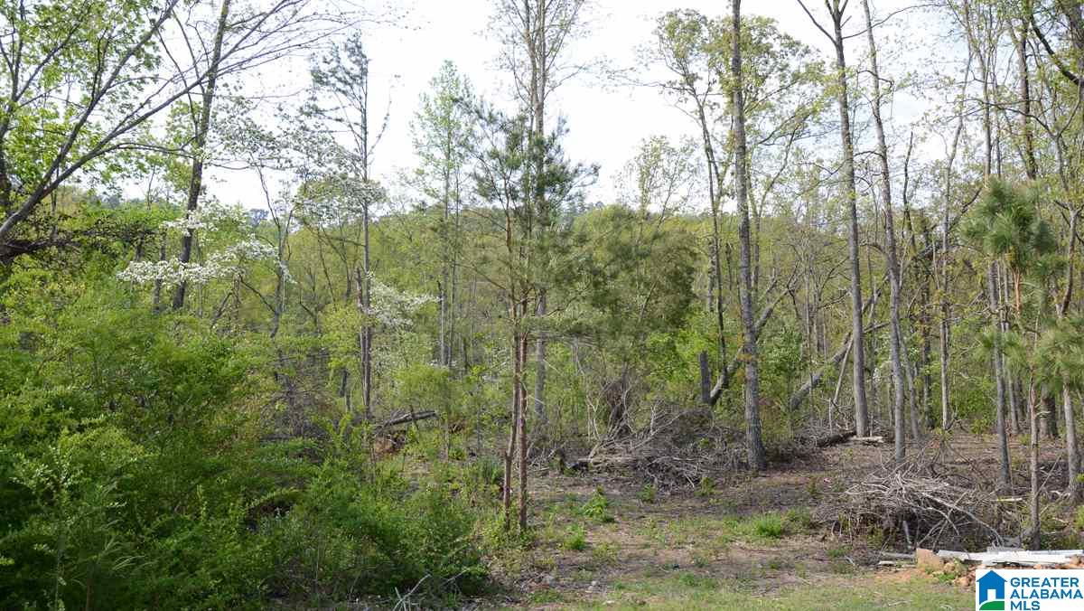 2091 Rabbittown Road, Unit 2 83 Piedmont, AL 36272 - Photo 8 of 17 Gallery Image 8