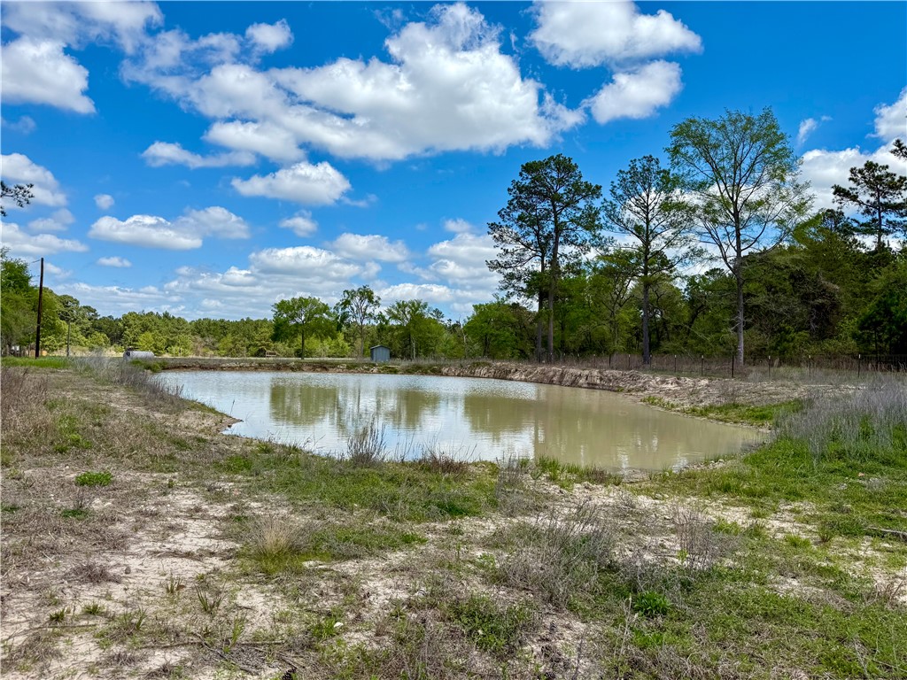 12082 State Highway 30 Anderson, TX 77830 - Photo 14 of 18