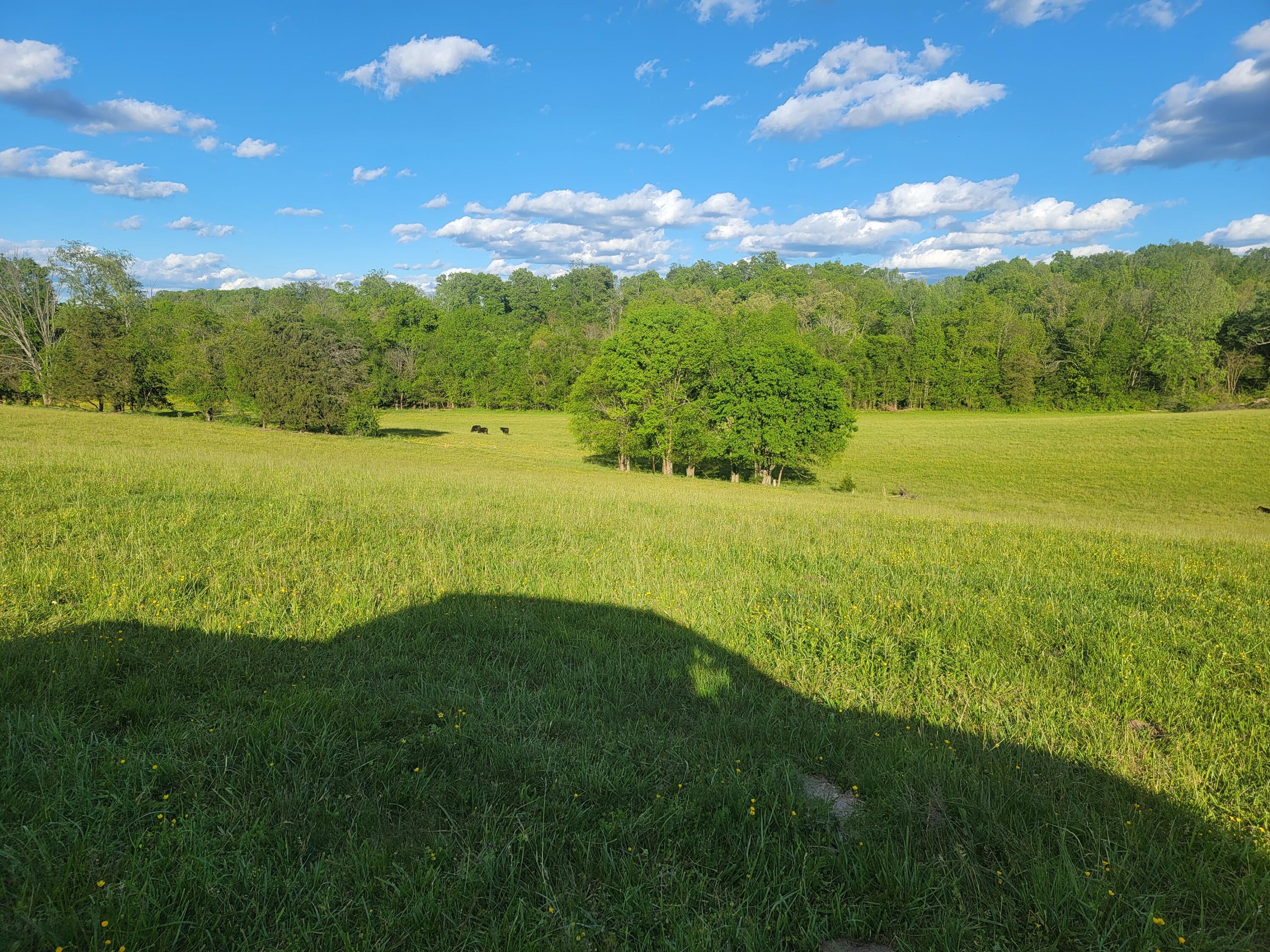 Tbd Culver Road, Unit 1 Limestone, TN 37681 - Photo 2 of 2 20230503_183733 (1)