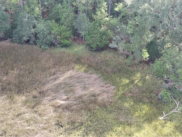 636 Main Road Johns Island, SC 29455 - Photo 11 of 16 11