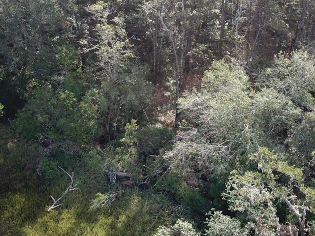 636 Main Road Johns Island, SC 29455 - Photo 10 of 16 10