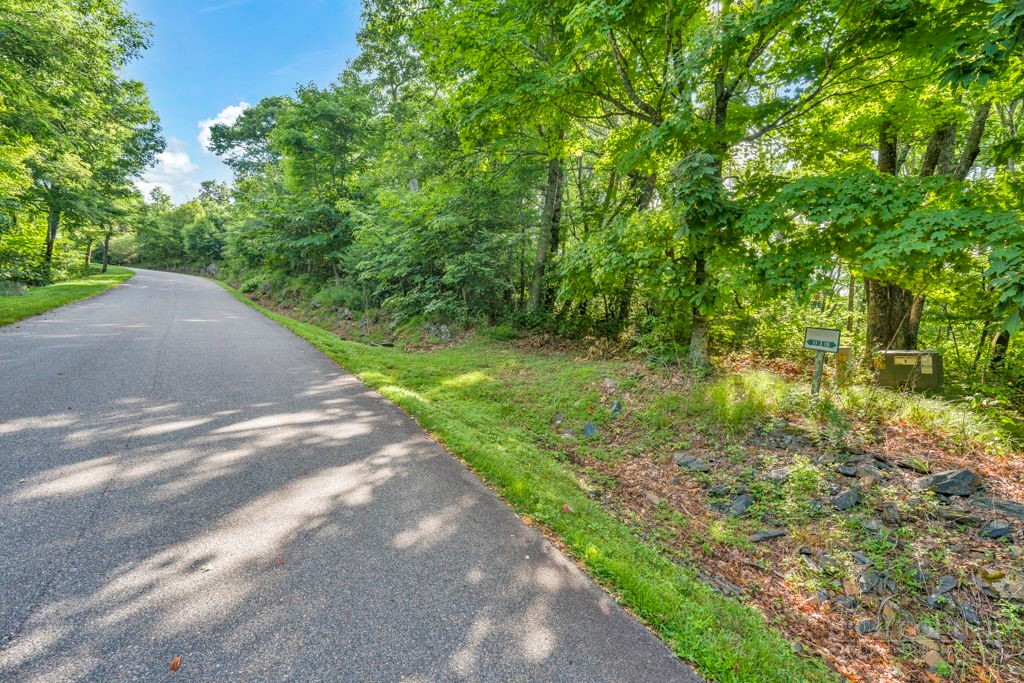 Lot 17 Crown Point Road West Jefferson, NC 28694 - Photo 12 of 21