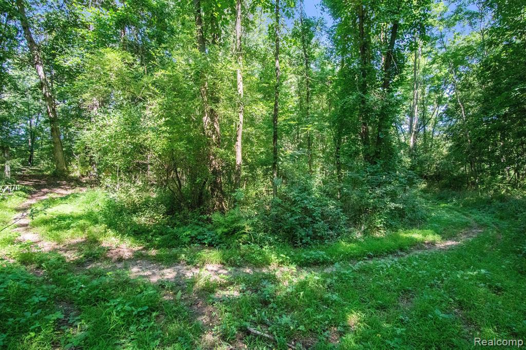 6455 Farley Road Pinckney, MI 48169 - Photo 74 of 83