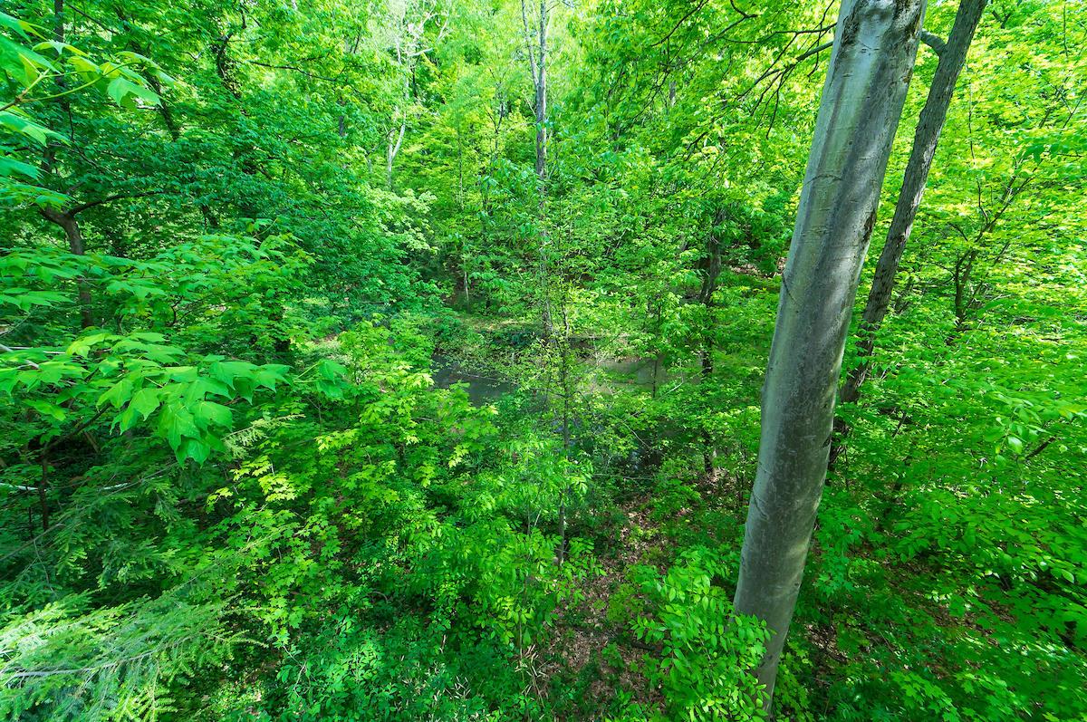 4183 Clotts Road Columbus, OH 43230 - Photo 51 of 55 Gallery Image 51