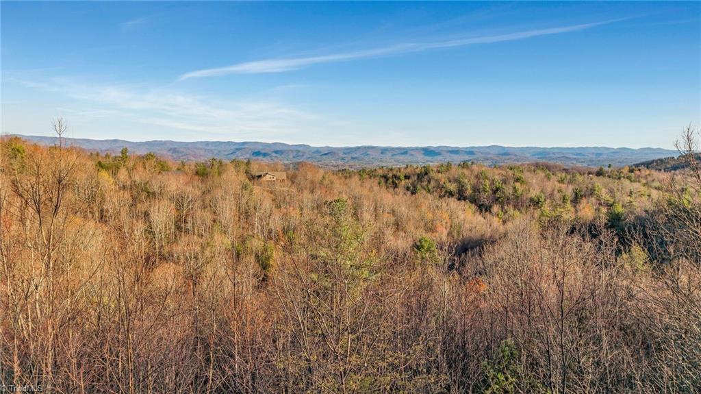 1986 Ridge Run Road Boomer, NC 28606 - Photo 4 of 25