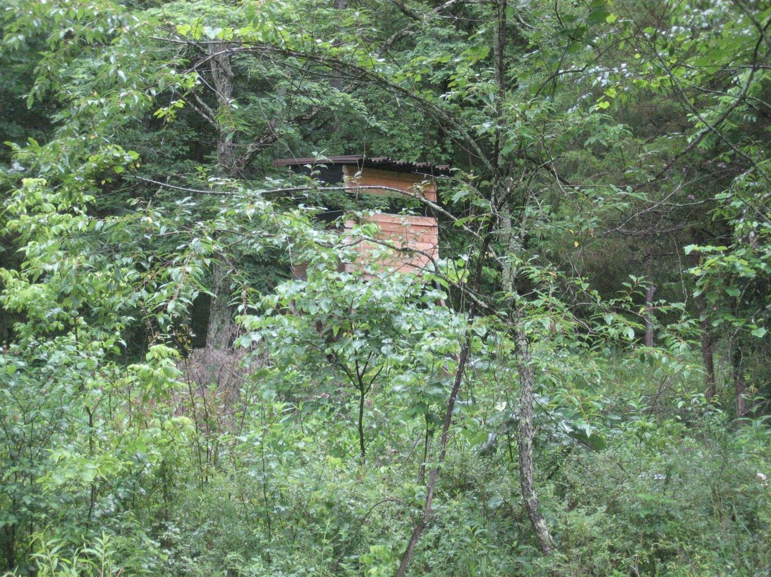 1500 Timber Creek Road Lawrenceburg, KY 40342 - Photo 7 of 12 Photo 7