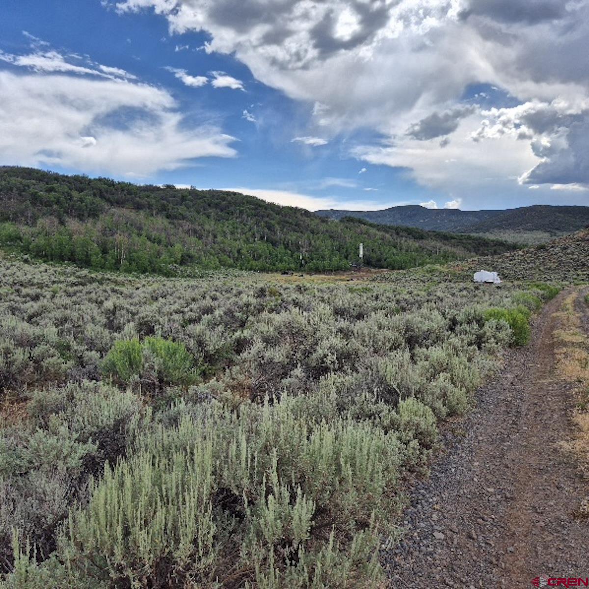 8 Harrison Creek Road Collbran, CO 81624 - Photo 37 of 40 Gallery Image 37