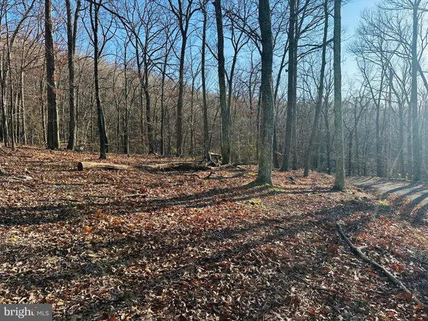 $40,000 | Lot 18-sec Butterfly Lane, Slanesville, WV 25444