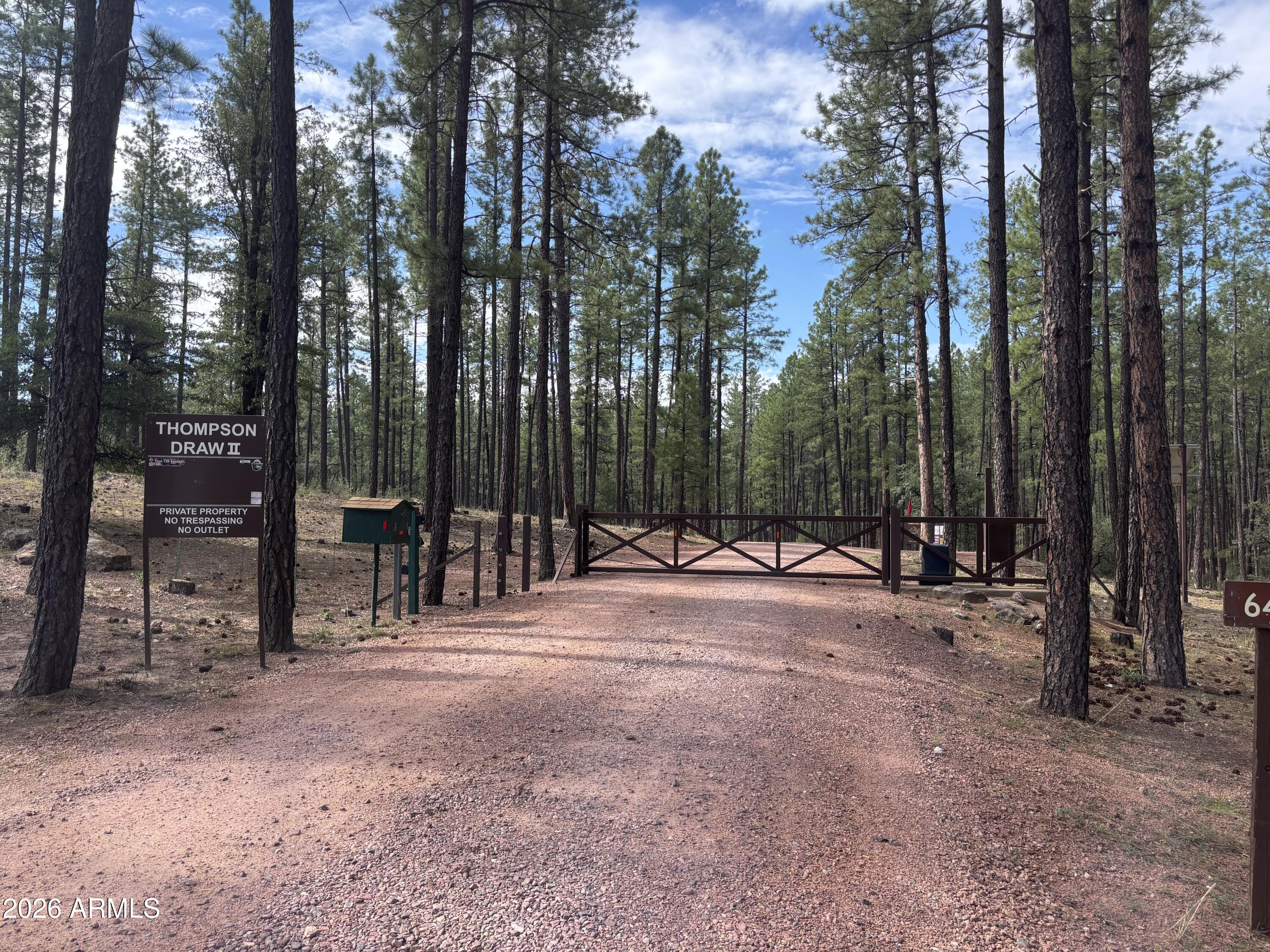 183 West Raven Road Christopher Creek, AZ 85541 - Photo 19 of 70 IMG_4482