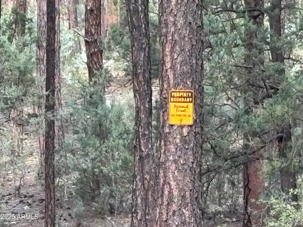 $583,000 | 183 West Raven Road, Payson, AZ 85541