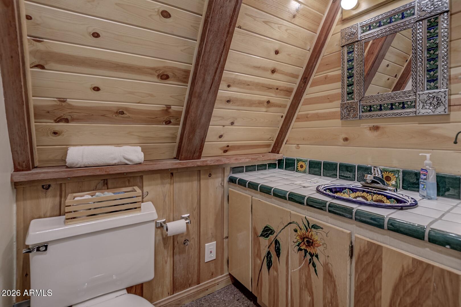 183 West Raven Road Christopher Creek, AZ 85541 - Photo 44 of 70 IMG_ 33