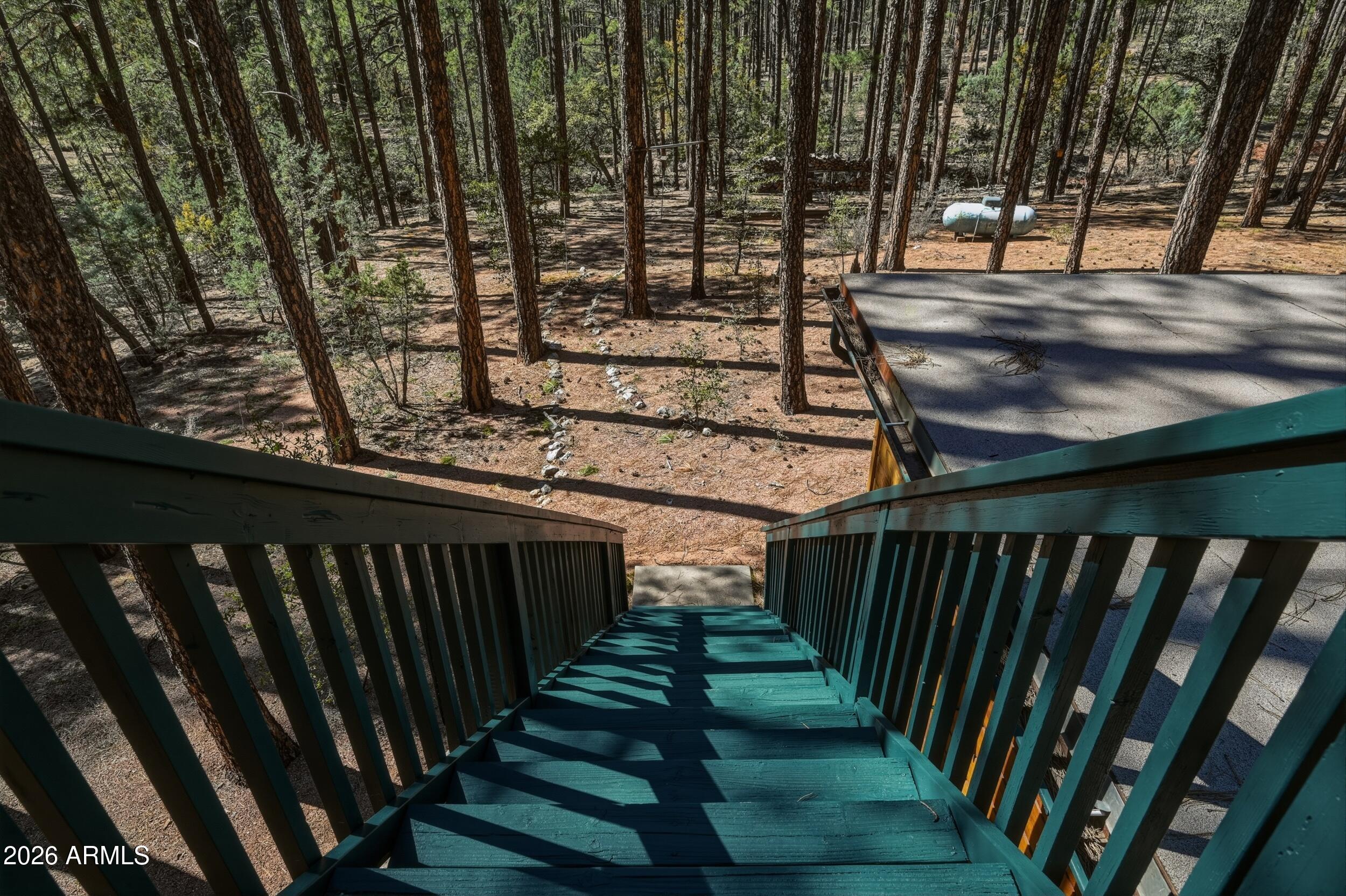 183 West Raven Road Christopher Creek, AZ 85541 - Photo 51 of 70 21_nkn_7167